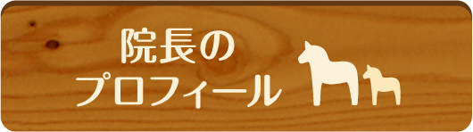 院長のプロフィール