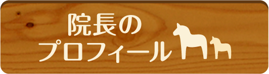院長のプロフィール